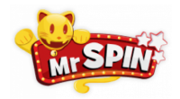 Mr Spin Activation Code
